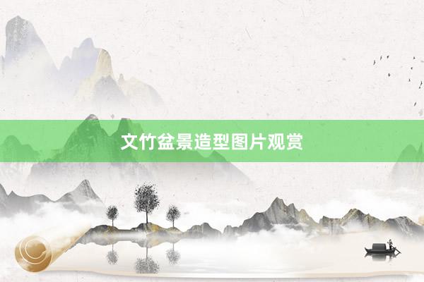 文竹盆景造型图片观赏