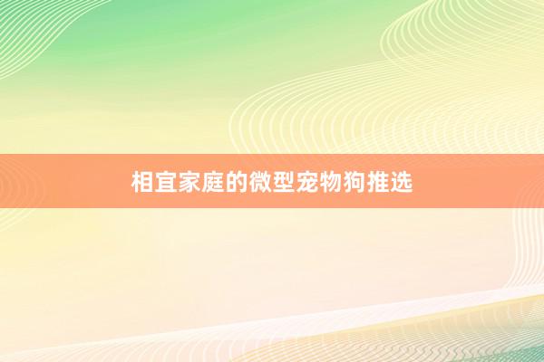 相宜家庭的微型宠物狗推选