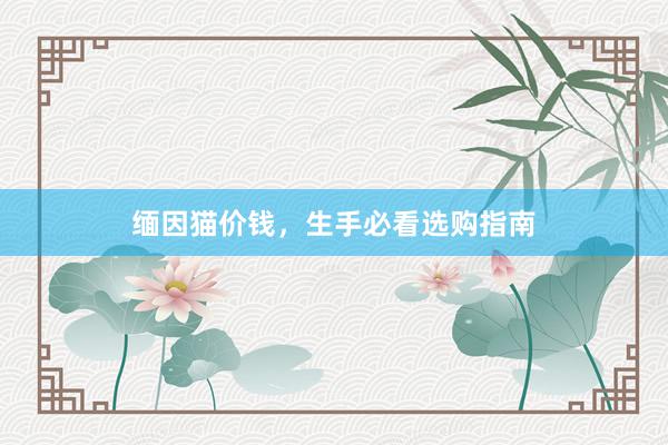 缅因猫价钱，生手必看选购指南